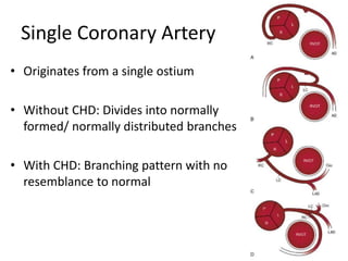 CONGENITAL CORONARY ANOMALIES AND VARIANTS, ALCAPA | PPTX