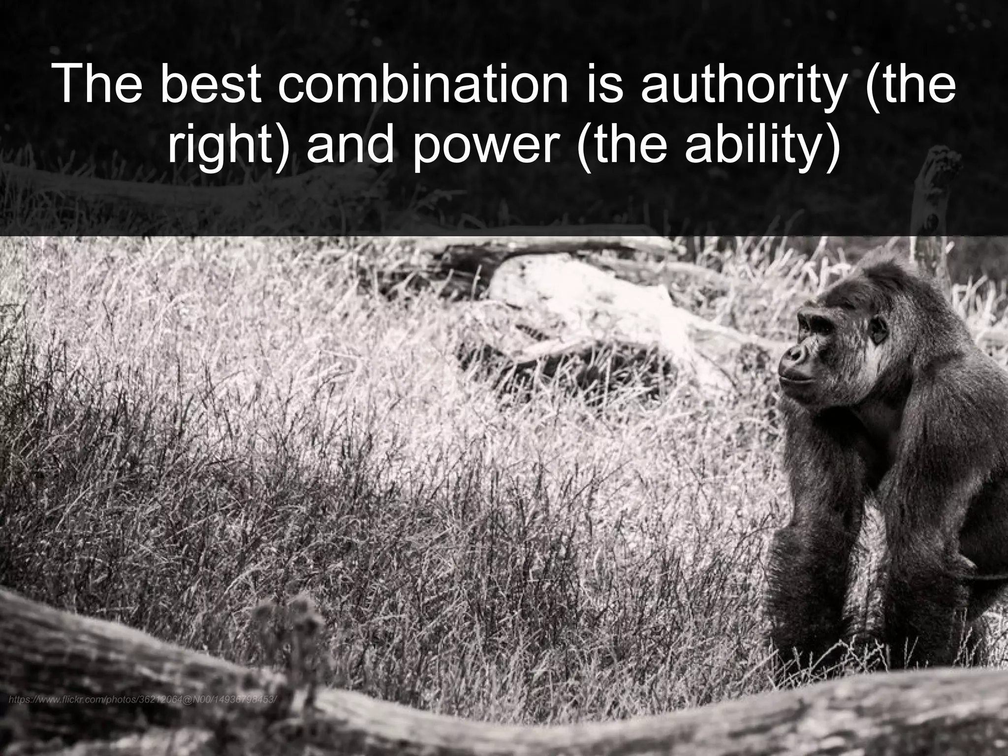 Slide 10