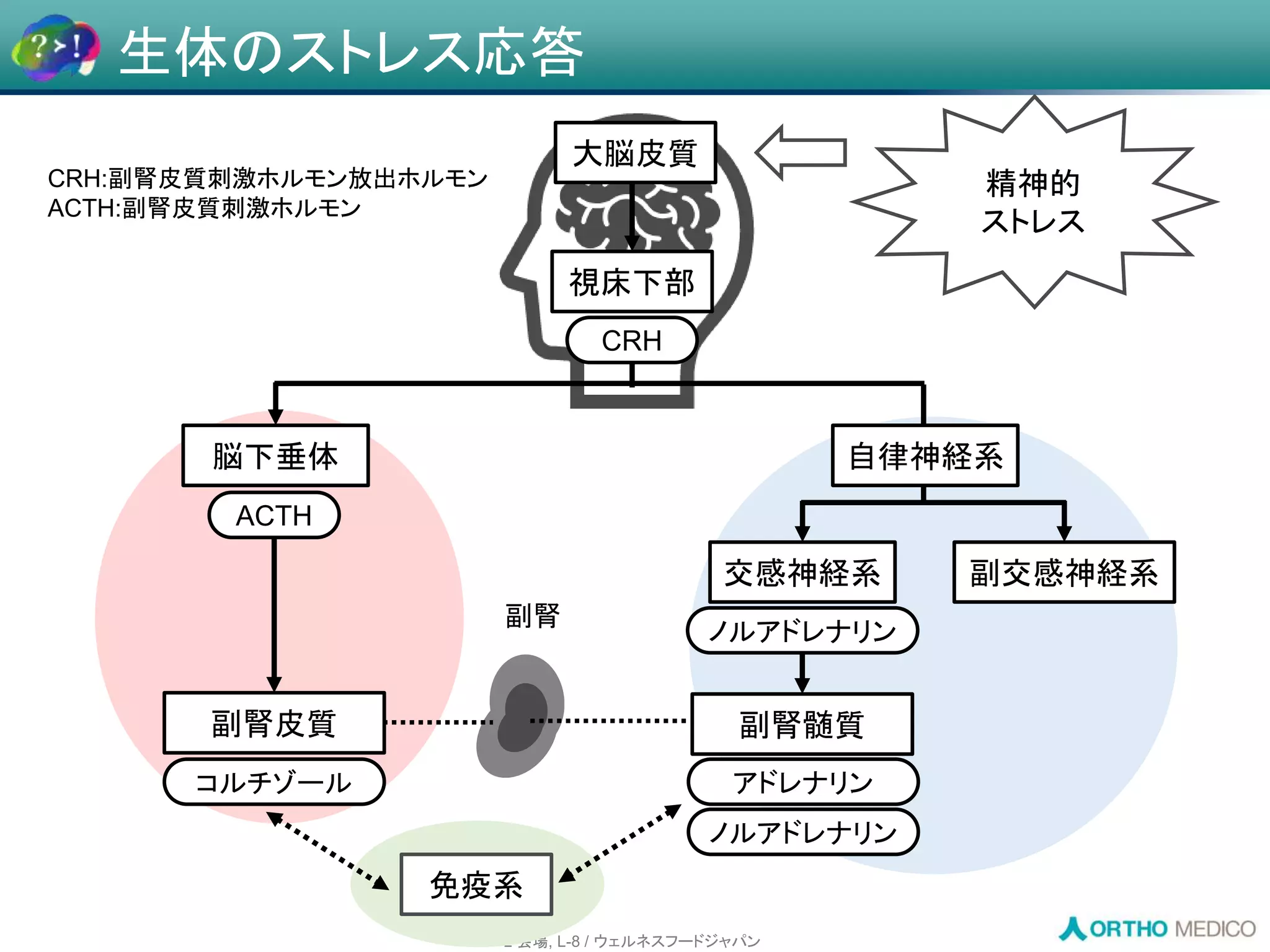 Slide 17