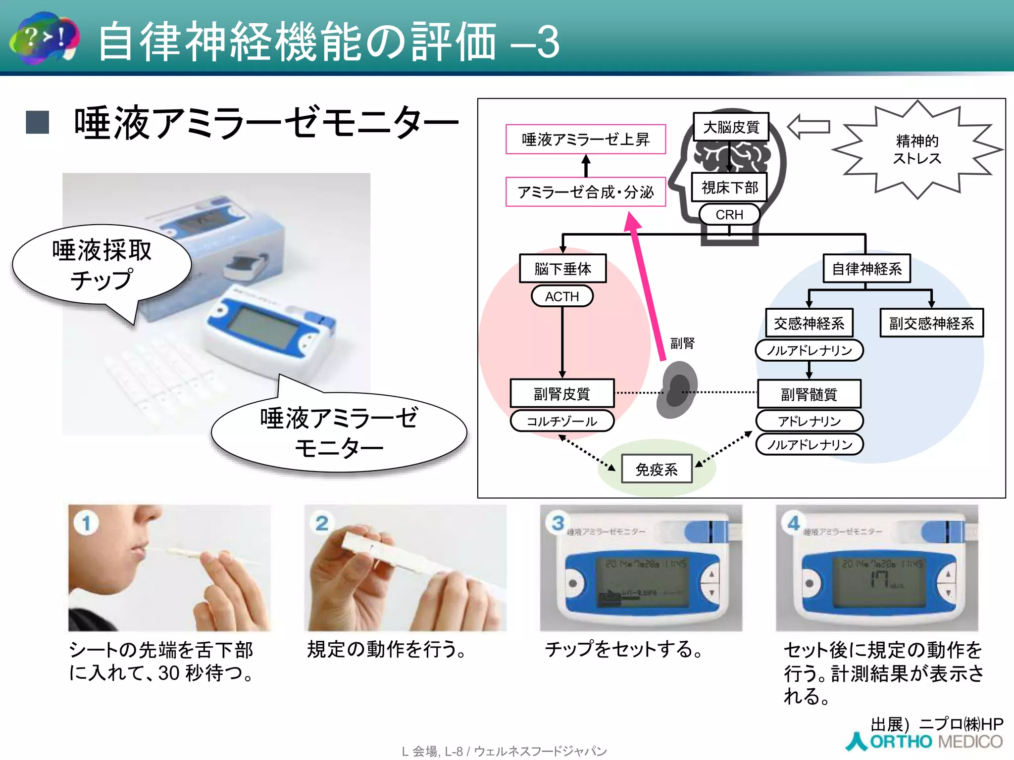 Slide 29