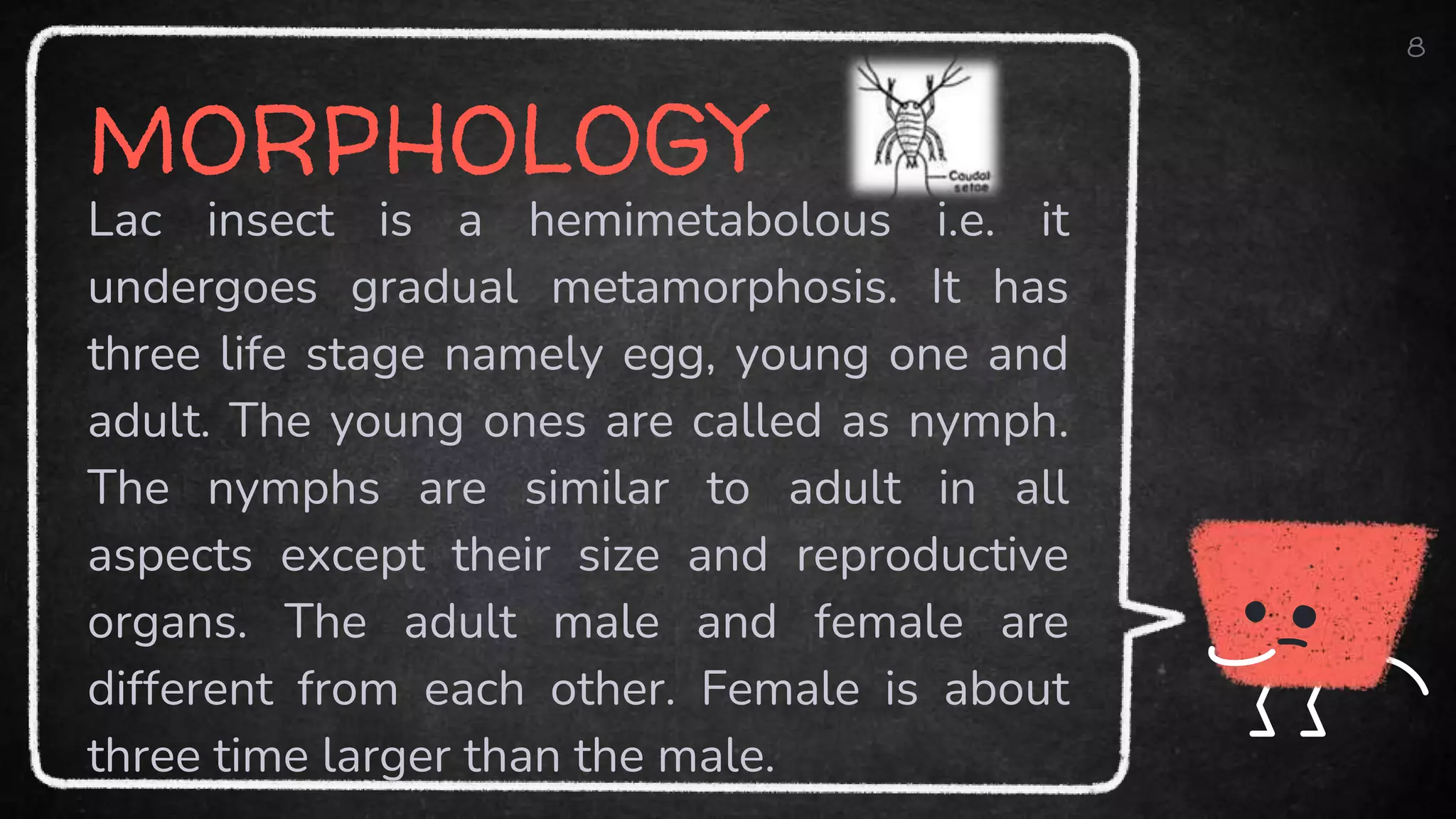 Lac INSECT and it's morphology | PPTX