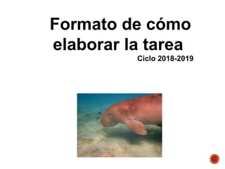 Formato de cómo
elaborar la tarea
Ciclo 2018-2019
 