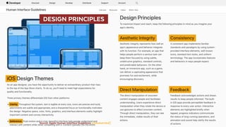   DESIGN PRINCIPLES 
Source: Apple Human Interface Guidelines [commented]
 