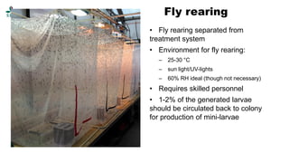 Fly Colony Rearing Racks Insect assisted organic waste management - A circular economic approach ...
