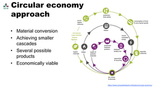 Insect assisted organic waste management - A circular economic approach ...