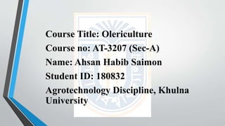 Course Title: Olericulture
Course no: AT-3207 (Sec-A)
Name: Ahsan Habib Saimon
Student ID: 180832
Agrotechnology Discipline, Khulna
University
 