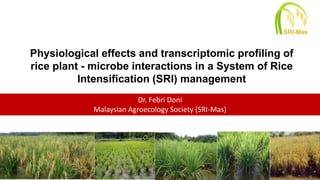 Physiological effects and transcriptomic profiling of
rice plant - microbe interactions in a System of Rice
Intensification (SRI) management
www.ukm.my
Dr. Febri Doni
Malaysian Agroecology Society (SRI-Mas)
 