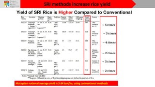 SRI methods increase rice yield
~ 𝟓 𝒕𝒊𝒎𝒆𝒔
~ 𝟑 𝒕𝒊𝒎𝒆𝒔
~ 𝟒 𝒕𝒊𝒎𝒆𝒔
~ 𝟐 𝒕𝒊𝒎𝒆𝒔
~ 𝟑 𝒕𝒊𝒎𝒆𝒔
Malaysian national average yield is 3.64...