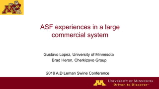ASF experiences in a large
commercial system
2018 A.D Leman Swine Conference
Gustavo Lopez, University of Minnesota
Brad Heron, Cherkizovo Group
 