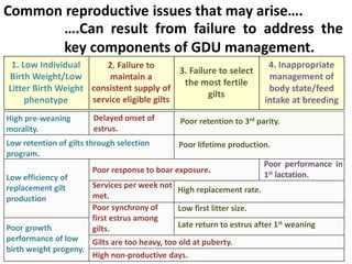 Jennifer Patterson - Improving Efficiencies of Replacement Gilt ...