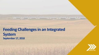 Feeding Challenges in an Integrated
System
September17,2018
 