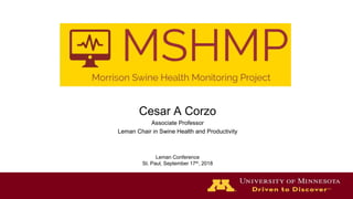 Cesar A Corzo
Associate Professor
Leman Chair in Swine Health and Productivity
Leman Conference
St. Paul, September 17th, 2018
 