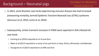 Dr. Matt Sturos - Impact of Senecavirus A in Neonate Pigs | PPTX