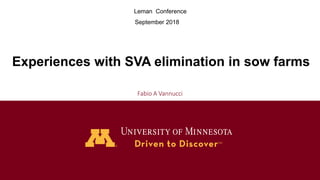 Experiences with SVA elimination in sow farms
Fabio A Vannucci
Leman Conference
September 2018
 