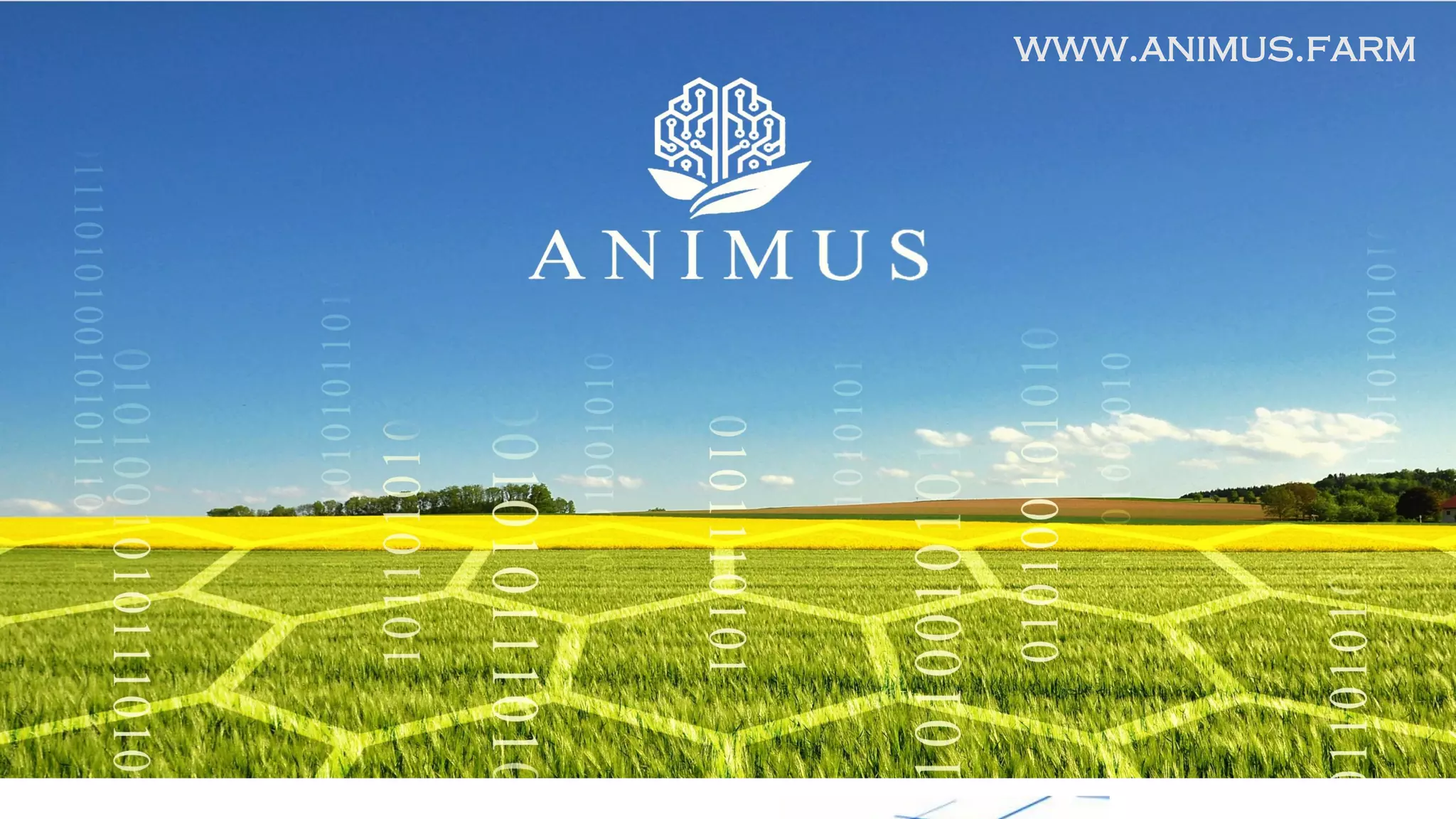 www.animus.farm
 