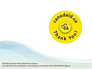 © 2018 Canadian Cattle Identification Agency
All material in this presentation is the property of Canadian Cattle Identification Agency
 