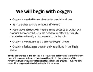 We will begin with oxygen
g yg
• Oxygen is needed for respiration for aerobic cultures.
• Strict aerobes will die without sufficient O2
• Facultative aerobes will not die in the absence of O2 but will
produce byproducts due to the need to transfer electrons to
metabolites when O2 is not present to do the job.
d b d l d b
• Oxygen is monitored by a dissolved oxygen probe
• Oxygen is fed as a gas but can only be utilized in the liquid
phase
phase
The E. coli we use in the 194 lab is a facultative aerobe and therefore grows
best with oxygen but can grow also without it. In the absence of O2,
best with oxygen but can grow also without it. In the absence of O2,
however, it will produce byproducts that inhibit the growth. Thus, we aim
to avoid an oxygen-limited situation in the process.
 