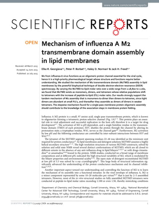 1Scientific Reports | 5:11757 | DOI: 10.1038/srep11757
www.nature.com/scientificreports
Mechanism of influenza A M2
transmembrane domain assembly
in lipid membranes
Elka R. Georgieva1,2
, Peter P. Borbat1,2
, Haley D. Norman3
& Jack H. Freed1,2
M2 from influenza A virus functions as an oligomeric proton channel essential for the viral cycle,
hence it is a high-priority pharmacological target whose structure and functions require better
understanding. We studied the mechanism of M2 transmembrane domain (M2TMD) assembly in lipid
membranes by the powerful biophysical technique of double electron-electron resonance (DEER)
spectroscopy. By varying the M2TMD-to-lipid molar ratio over a wide range from 1:18,800 to 1:160,
we found that M2TMD exists as monomers, dimers, and tetramers whose relative populations shift
to tetramers with the increase of peptide-to-lipid (P/L) molar ratio. Our results strongly support the
tandem mechanism of M2 assembly that is monomers-to-dimer then dimers-to-tetramer, since tight
dimers are abundant at small P/L’s, and thereafter they assemble as dimers of dimers in weaker
tetramers. The stepwise mechanism found for a single-pass membrane protein oligomeric assembly
should contribute to the knowledge of the association steps in membrane protein folding.
Influenza A M2 protein is a small, 97 amino acid, single-pass transmembrane protein, which is known
to oligomerize forming a tetrameric proton-selective channel (Fig. 1A)1–3
. This protein plays an essen-
tial role in viral adjustment and successful replication in the host cell; therefore it is a target for drug
development4–7
. The activation of M2 is pH dependent, and a single histidine residue in the transmem-
brane domain (TMD) of each protomer, H37, shuttles the proton through the channel by altering its
protonation state; a tryptophan residue, W41, serves as the channel gate8,9
. Furthermore, M2 activation
by low pH and the following conductance are controlled by inter-subunit interactions between H37 and
W4110,11
.
The tetramer of the M2TMD segment spanning residues 22–46 was identified as the minimum unit
required for proton conductance12
. In lipid membranes and detergent solutions M2TMD assumes a highly
helical secondary structure13–15
. The high resolution structures of various M2TMD constructs, solved by
solution and solid state NMR reveal several distinct conformations of M2TMD, which are all closed to
different extents in the absence of any anti-influenza drug in lipid bilayers11,16,17
or with drugs rimanta-
dine18
or amantadine19,20
bound to the protein. NMR studies, conducted on a broad range of membrane
compositions and at different pH, indicated the high structural variability of M2, which is modulated by
the bilayer properties and environmental acidity21,22
. The open state of detergent-reconstituted M2TMD
at low pH of 5.3 was solved by x-ray crystallography23
. This large body of structural information sig-
nificantly advanced the understanding of the proton conductance mechanism and its channel inhibi-
tion11,24,25
.
Another important aspect toward our understanding and controlling the function of M2 is to learn
the mechanism of its assembly into a functional tetramer. In the viral envelope of influenza A, M2 is
a minor component represented by some 10–20 molecules per virion26,27
that is just by 2–5 assembled
tetramers. However, most of the in vitro structural studies on fully assembled M2TMD tetramers were
conducted at peptide-to-lipid molar ratios exceeding 1:100 or even 1:50, thereby mimicking conditions
1
Department of Chemistry and Chemical Biology, Cornell University, Ithaca, NY 14853. 2
National Biomedical
Center for Advanced ESR Technology, Cornell University, Ithaca, NY 14853. 3
School of Engineering, Cornell
University, Ithaca, NY 14853. Correspondence and requests for materials should be addressed to E.R.G. (email:
erg54@cornell.edu) or J.H.F. (email: jhf3@cornell.edu)
received: 08 March 2015
accepted: 04 June 2015
Published: 20 July 2015
OPEN
 