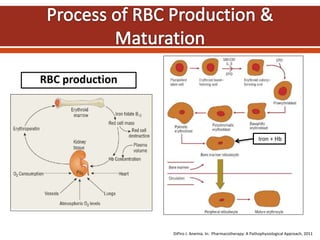 RBC production
DiPiro J. Anemia. In: Pharmacotherapy: A Pathophysiological Approach, 2011
Iron + Hb
 