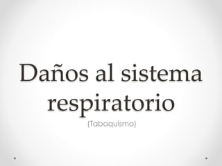 Daños al sistema 
respiratorio 
(Tabaquismo) 
 