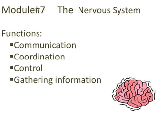 Module#7     The Nervous System

Functions:
  Communication
  Coordination
  Control
  Gathering information
 