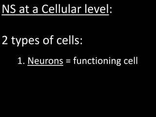 NS at a Cellular level:

2 types of cells:
   1. Neurons = functioning cell
 
