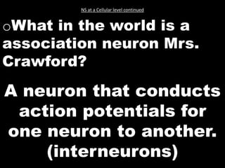 NS at a Cellular level continued


oWhat in the world is a
association neuron Mrs.
Crawford?

A neuron that conducts
 action potentials for
one neuron to another.
    (interneurons)
 
