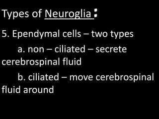 Types of Neuroglia :
5. Ependymal cells – two types
    a. non – ciliated – secrete
cerebrospinal fluid
    b. ciliated – move cerebrospinal
fluid around
 