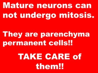 Mature neurons can
not undergo mitosis.

They are parenchyma
permanent cells!!
   TAKE CARE of
      them!!
 
