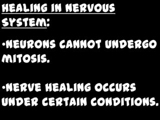 Healing in Nervous
System:
•Neurons cannot undergo
mitosis.

•Nerve healing occurs
under certain conditions.
 