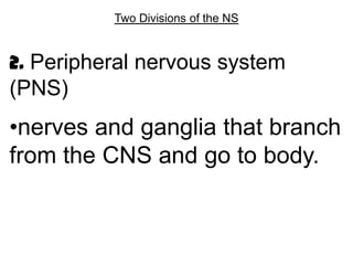 Two Divisions of the NS


2. Peripheral nervous system
(PNS)
•nerves and ganglia that branch
from the CNS and go to body.
 