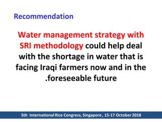 1810 - Rice Water Management and Reduction in Iraq