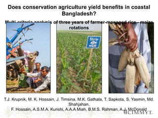 Does conservation agriculture yield benefits in coastal
Bangladesh?
Multi-criteria analysis of three years of farmer-managed rice - maize
rotations
T.J. Krupnik, M. K. Hossain, J. Timsina, M.K. Gathala, T. Sapkota, S. Yasmin, Md.
Shahjahan,
F. Hossain, A.S.M.A. Kurishi, A.A.A Miah, B.M.S. Rahman, A.J. McDonald
 