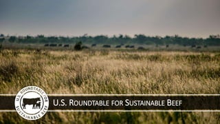 U.S. ROUNDTABLE FOR SUSTAINABLE BEEF
 