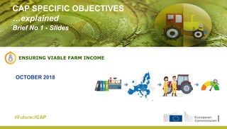 ENSURING VIABLE FARM INCOME
CAP SPECIFIC OBJECTIVES
…explained
Brief No 1 - Slides
OCTOBER 2018
#FutureofCAP
 