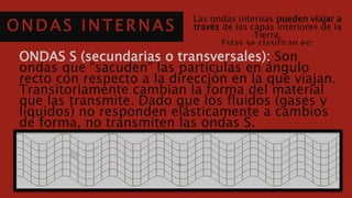 ONDAS INTERNAS
Las ondas internas pueden viajar a través
de las capas interiores de la Tierra.
Estas se clasifican en:
ONDAS S (secundarias o transversales): Son ondas que
“sacuden” las partículas en ángulo recto con respecto a la
dirección en la que viajan. Transitoriamente cambian la
forma del material que las transmite. Dado que los fluidos
(gases y líquidos) no responden elásticamente a cambios de
forma, no transmiten las ondas S.
 