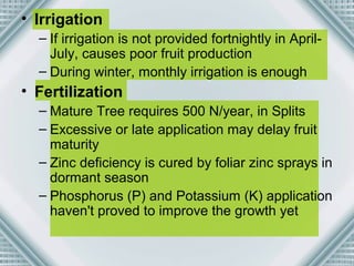 • Irrigation 
– If irrigation is not provided fortnightly in April- 
July, causes poor fruit production 
– During winter, monthly irrigation is enough 
• Fertilization 
– Mature Tree requires 500 N/year, in Splits 
– Excessive or late application may delay fruit 
maturity 
– Zinc deficiency is cured by foliar zinc sprays in 
dormant season 
– Phosphorus (P) and Potassium (K) application 
haven't proved to improve the growth yet 
 