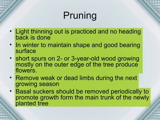 Pruning 
• Light thinning out is practiced and no heading 
back is done 
• In winter to maintain shape and good bearing 
surface 
• short spurs on 2- or 3-year-old wood growing 
mostly on the outer edge of the tree produce 
flowers. 
• Remove weak or dead limbs during the next 
growing season 
• Basal suckers should be removed periodically to 
promote growth form the main trunk of the newly 
planted tree 
 