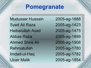 PPoommeeggrraannaattee 
Mudusser Hussain 2005-ag-1888 
Syed Ali Raza 2005-ag-1423 
Haibatullah Asad 2005-ag-1475 
Abbas Raza 2005-ag-1899 
Ahmed Shire Ali 2005-ag-1908 
Rehmatullah 2005-ag-1780 
Imdad-ul-Haq 2005-ag-1782 
Uzair Malik 2005-ag-1854 
Mudusser Hussain 2005-ag-1888 
Syed Ali Raza 2005-ag-1423 
Haibatullah Asad 2005-ag-1475 
Abbas Raza 2005-ag-1899 
Ahmed Shire Ali 2005-ag-1908 
Rehmatullah 2005-ag-1780 
Imdad-ul-Haq 2005-ag-1782 
Uzair Malik 2005-ag-1854 
 