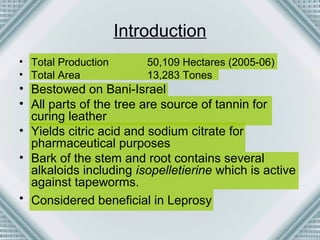 Introduction 
• Total Production 50,109 Hectares (2005-06) 
• Total Area 13,283 Tones 
• Bestowed on Bani-Israel 
• All parts of the tree are source of tannin for 
curing leather 
• Yields citric acid and sodium citrate for 
pharmaceutical purposes 
• Bark of the stem and root contains several 
alkaloids including isopelletierine which is active 
against tapeworms. 
• Considered beneficial in Leprosy 
 