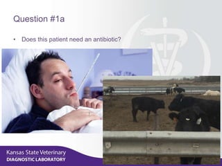 Question #1a
• Does this patient need an antibiotic?
 