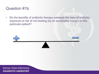 Question #1b
• Do the benefits of antibiotic therapy outweigh the risks of antibiotic
exposure or risk of not treating (by an acceptable margin) in this
particular patient?
 