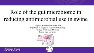 Role of the gut microbiome in
reducing antimicrobial use in swine
Megan C. Niederwerder, DVM, PhD
Department of Diagnostic Medicine/Pathobiology
College of Veterinary Medicine
Kansas State University
 