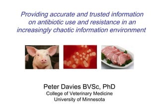 Providing accurate and trusted information
on antibiotic use and resistance in an
increasingly chaotic information environment 
Peter Davies BVSc, PhD
College of Veterinary Medicine
University of Minnesota
 