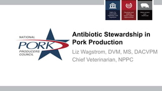Antibiotic Stewardship in
Pork Production
Liz Wagstrom, DVM, MS, DACVPM
Chief Veterinarian, NPPC
 