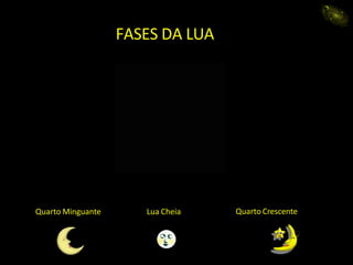 Quarto Minguante Quarto Crescente
Lua Cheia
FASES DA LUA
eida
 