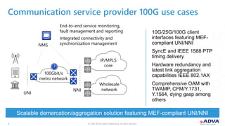 Application-optimized 100G demarcation and aggregation