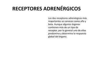 RECEPTORES ADRENÉRGICOS
Los dos receptores adrenérgicos más
importantes se conocen como alfa y
beta. Aunque algunos órganos
contienen más de un tipo de
receptor, por lo general uno de ellos
predomina y determina la respuesta
global del órgano.
 