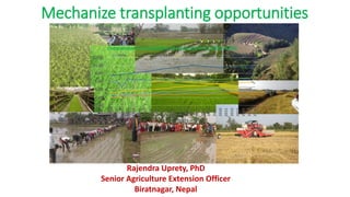Mechanize transplanting opportunities
Rajendra Uprety, PhD
Senior Agriculture Extension Officer
Biratnagar, Nepal
 