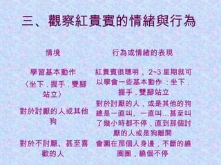 三、觀察紅貴賓的情緒與行為
情境 行為或情緒的表現
學習基本動作
〈坐下 . 握手 . 雙腳
站立〉
紅貴賓很聰明， 2~3 星期就可
以學會一些基本動作 : 坐下 .
握手 . 雙腳站立
對於討厭的人或其他
狗
對於討厭的人，或是其他的狗
總是一直叫、一直叫…甚至叫
了幾小時都不停，直到那個討
厭的人或是狗離開
對於不討厭、甚至喜
歡的人
會圍在那個人身邊，不斷的繞
圈圈，繞個不停
 